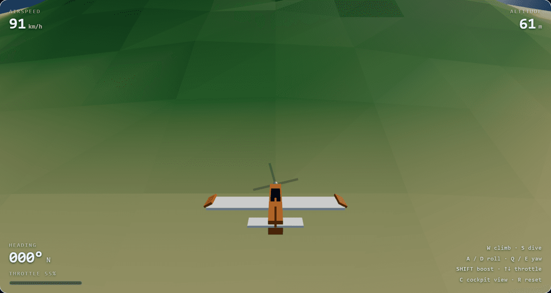 Flight Sim in play